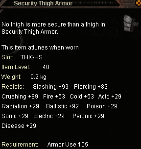 security_thigh_armor